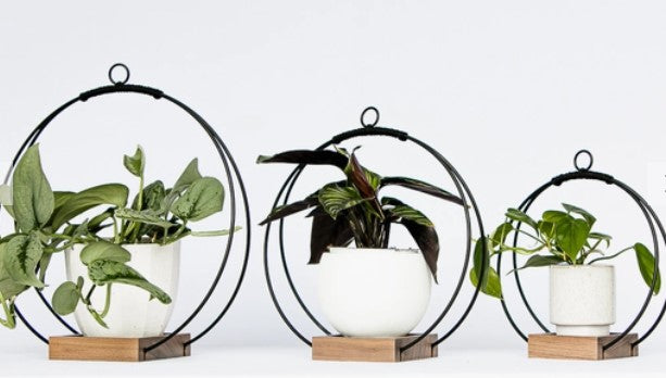indoor standing plant hanger Plant Hanger – Morgans Gift LLC